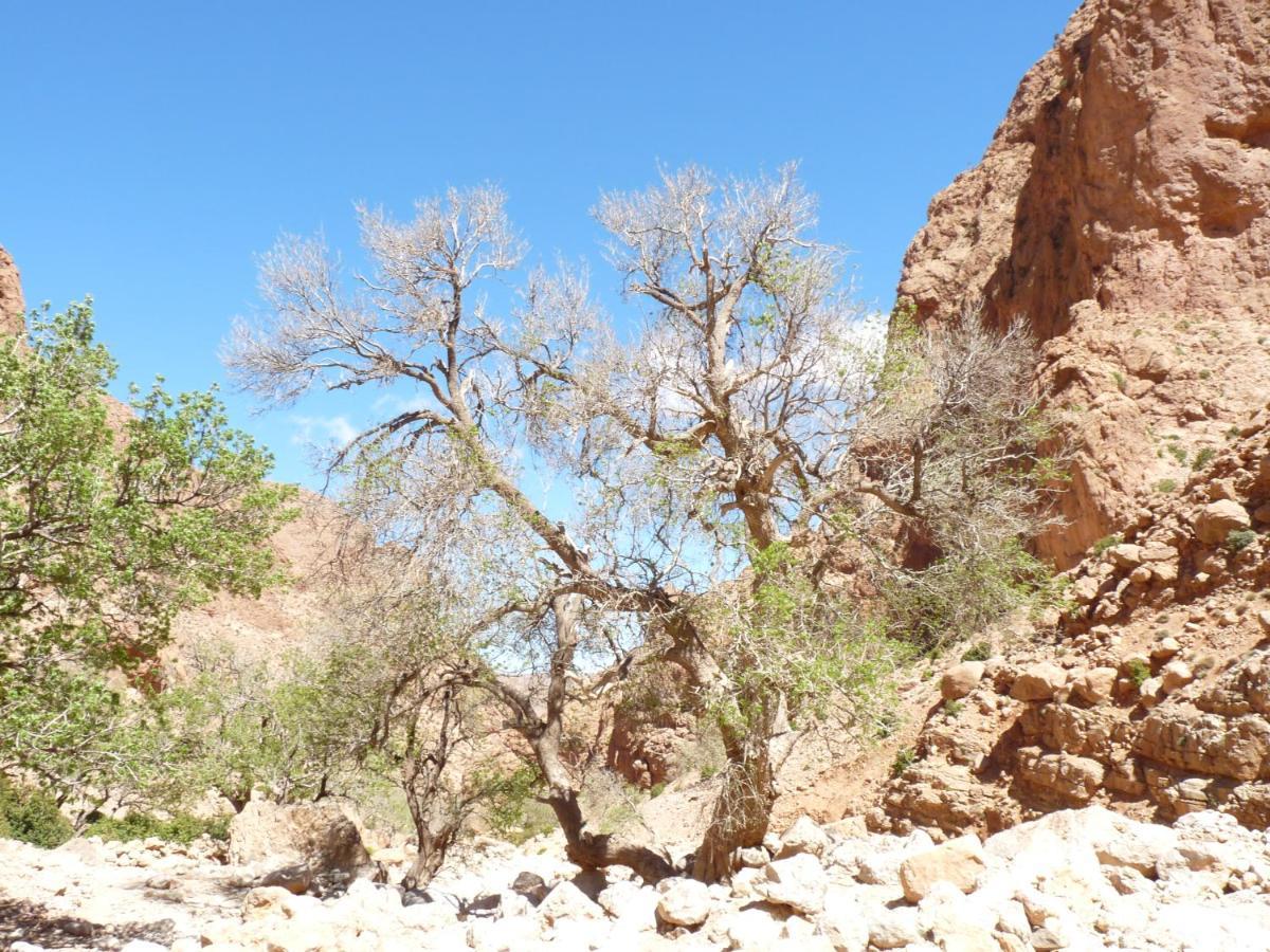 Les Jardins De Todgha Gorges De Todra Tinghir Hotel Aït Baha Kültér fotó