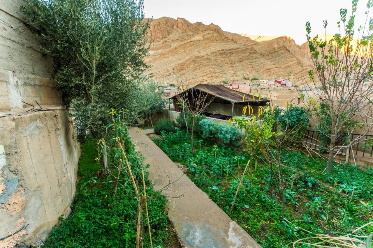Les Jardins De Todgha Gorges De Todra Tinghir Hotel Aït Baha Kültér fotó